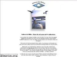 Sites similar to salines-de-millac.com