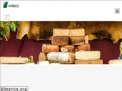 Sites similar to salipro.ma