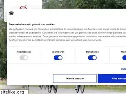 Sites similar to sallandsmooiste.nl