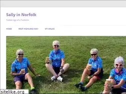 Sites similar to sallyinnorfolk.com