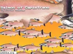Sites similar to salmonofcapistrano.com