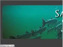 Sites similar to salmonphotos.com