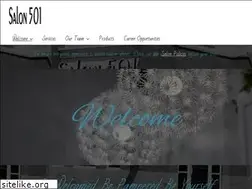 Sites similar to salon501.net