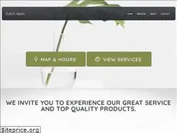 Sites similar to salonapex.com