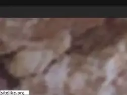 Sites similar to saloncolette.sk