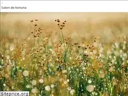 Sites similar to salondefortuna.com