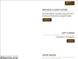 Sites similar to salonmedusa.net