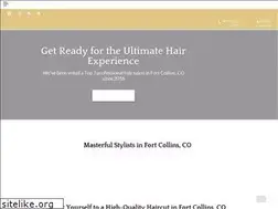 Sites similar to salonsalonfortcollins.com
