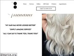 Sites similar to salontsunami.com