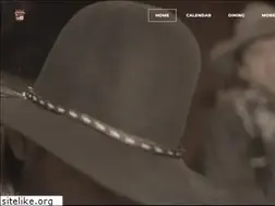 Sites similar to saloon10.com
