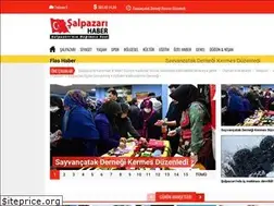 Sites similar to salpazarihaber.com
