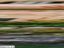 Sites similar to salspizzadeerfield.com
