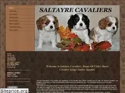 Sites similar to saltayrecavaliers.com