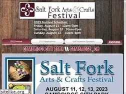 Sites similar to saltforkfestival.org
