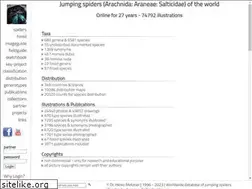 Sites similar to salticidae.de