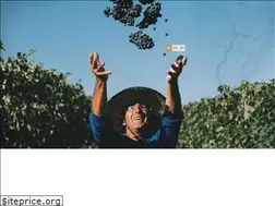 Sites similar to salton.com.br
