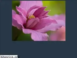 Sites similar to saltspring.cc