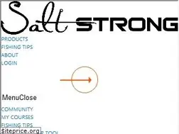 Sites similar to saltstrong.com