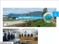 Sites similar to saltukova.bel.tr