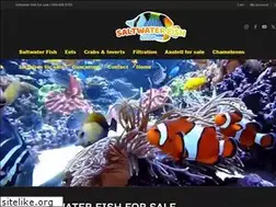 Sites similar to saltwaterfishshop.com