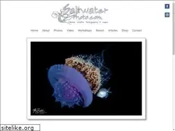 Sites similar to saltwaterphoto.com