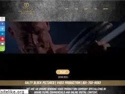 Sites similar to saltyblock.com