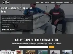 Sites similar to saltycape.com
