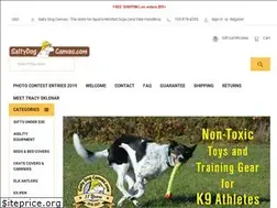 Sites similar to saltydogcanvas.com