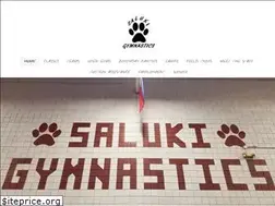 Sites similar to salukigym.com