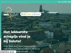 Sites similar to salute.nl