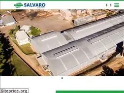 Sites similar to salvaro.com.br