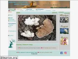 Sites similar to salvatoresaitta.it