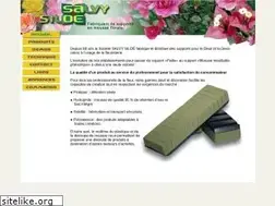 Sites similar to salvysiloe.fr
