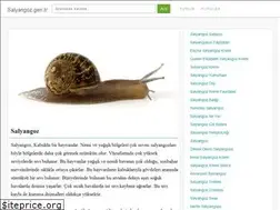 Sites similar to salyangoz.gen.tr