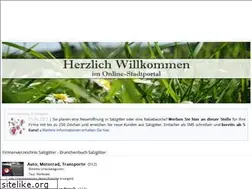 Sites similar to salzgitter-informativ.de