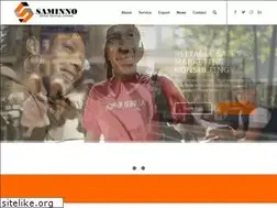 Sites similar to saminnoglobal.com