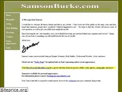 Sites similar to samsonburke.com