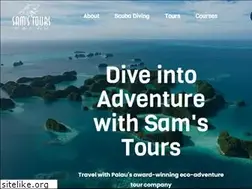 Sites similar to samstours.com