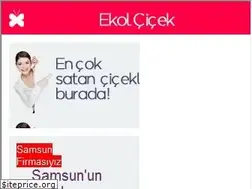 Sites similar to samsuncicekci.com