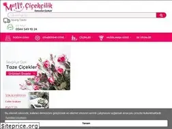 Sites similar to samsunciceksarayi.com