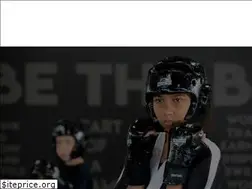 Sites similar to sanantoniofamilykarate.com