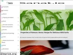 Sites similar to sanat.io