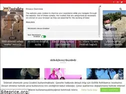 Sites similar to sanatinrotasi.info