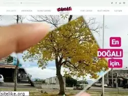 Sites similar to sanatsacekim.com