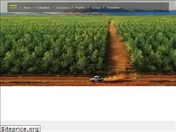 Sites similar to sandalwoodsocietytelangana.com