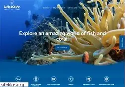 Sites similar to sanddollarsports.com
