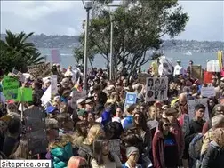 Sites similar to sandiegoindivisible.com