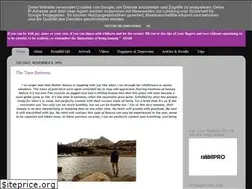 Sites similar to sandinypaver.blogspot.com