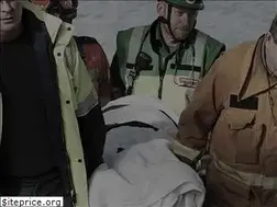 Sites similar to sandpiperaustralia.org