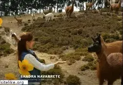 Sites similar to sandranavarrete.com